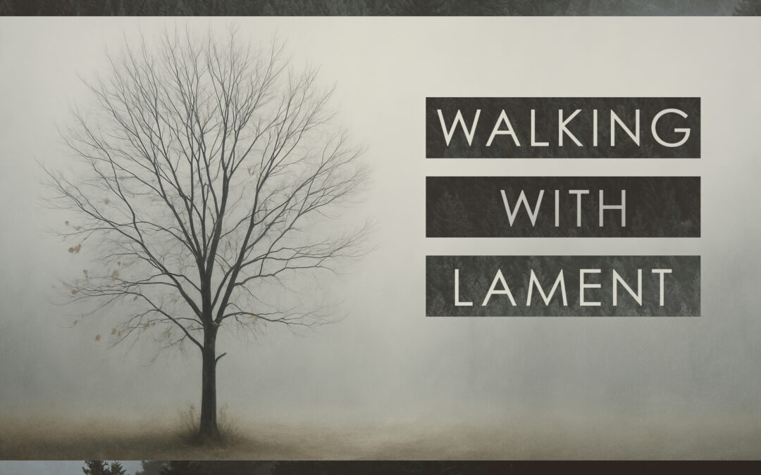 Walking With Lament | Nick Beran